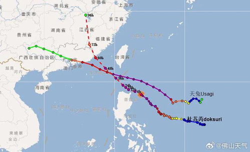 台风影响下的铁路线路运输秩序恢复