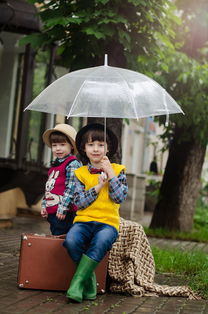 佟丽娅春风化雨助力学子追逐梦想