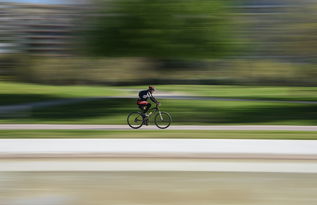 高速公路实时封路查询指南，一网打尽出行烦恼