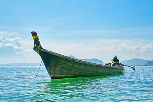 探索海洋深处，解读中国船舶报——引领船舶行业前行的航标灯