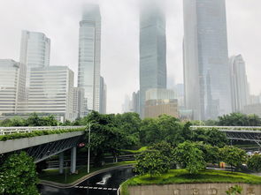 绿色出行新风尚，天津的限行绿意如何改变城市生活