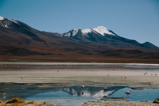 舒适旅程，合肥至广州的便捷之旅——一次深度探索与攻略