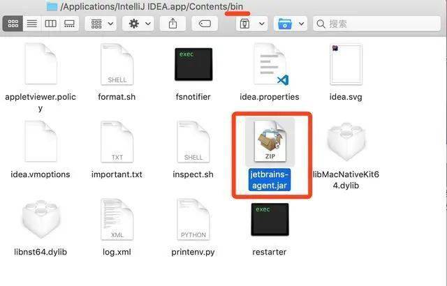 Java优学网SpringBoot整合MongoDB解析：从零搭建高效文档数据库应用，轻松解决非结构化数据存储难题